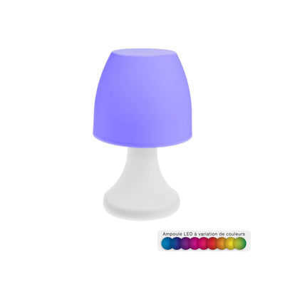 Outdoor Indoor lamp DOKK with battery multicolor lightening