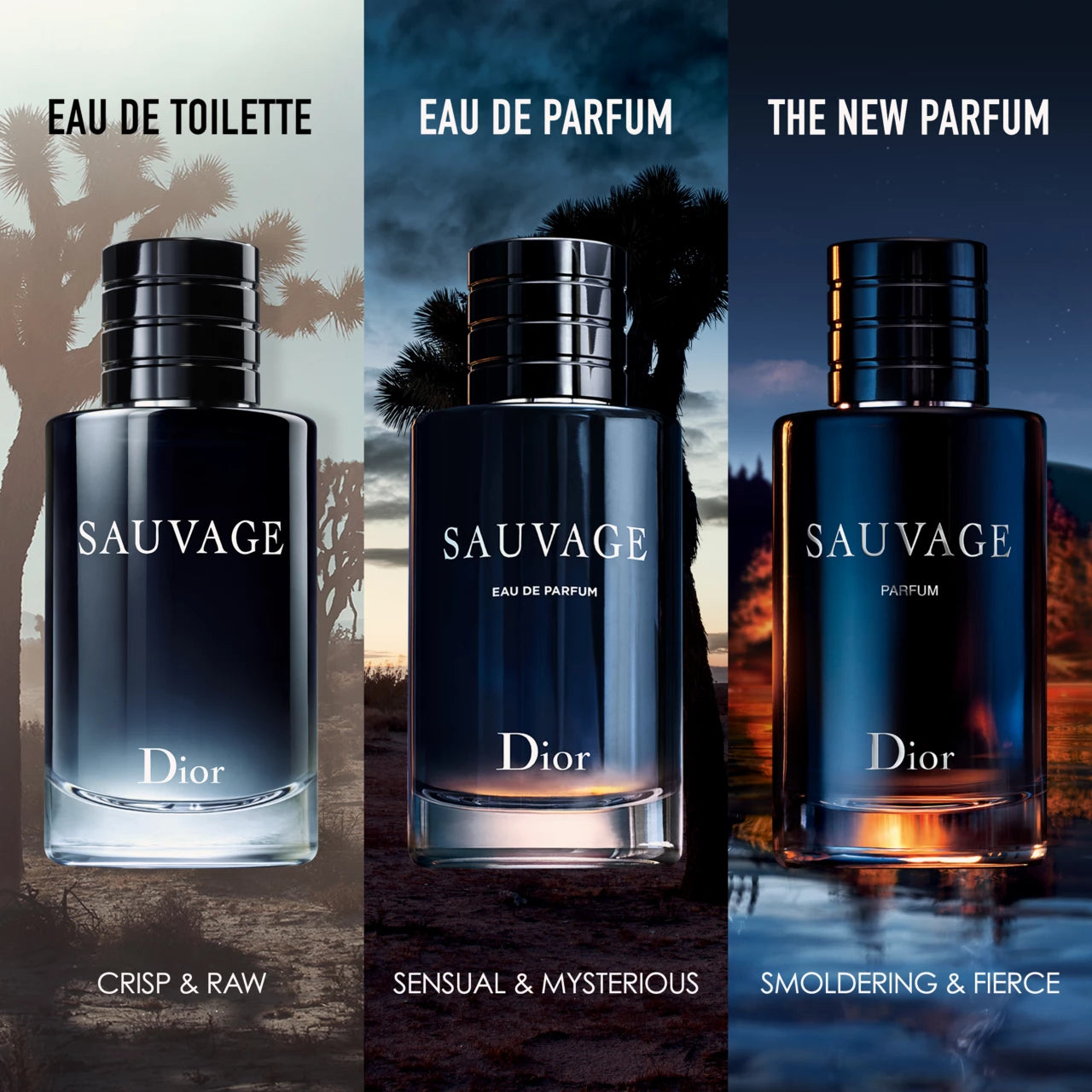 DIOR  Sauvage EdT