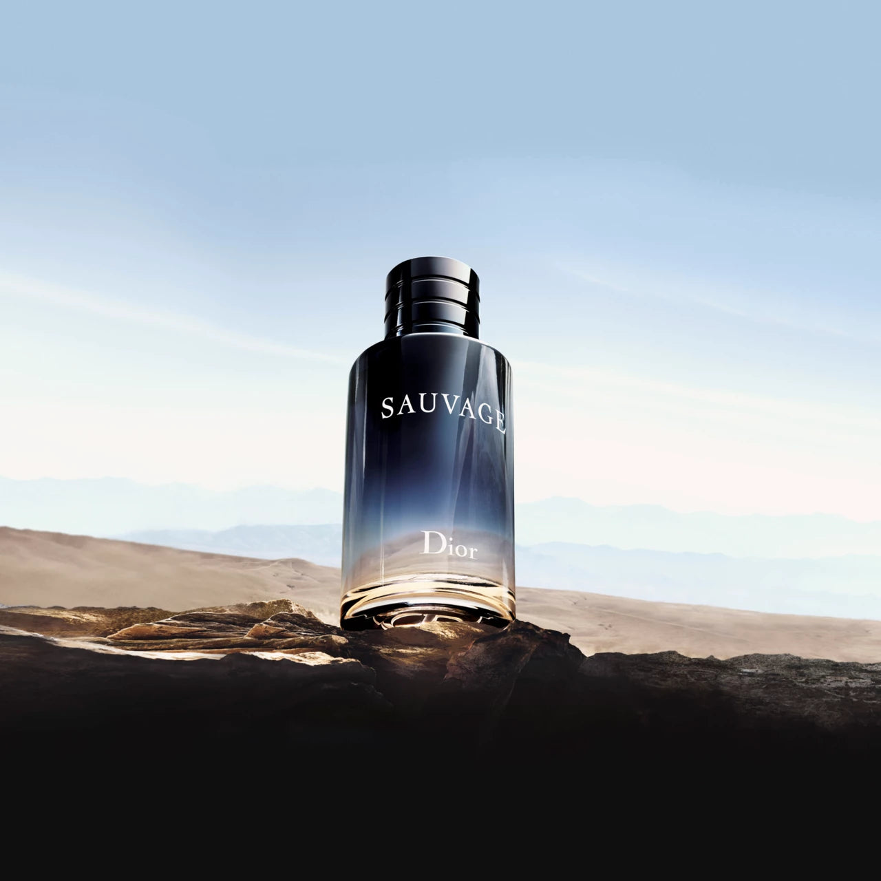 DIOR  Sauvage EdT