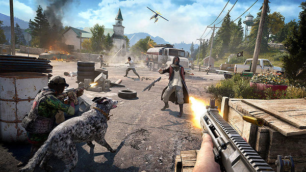 Far Cry 5 (PlayStation 4) (Fyndvara)