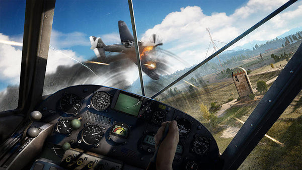 Far Cry 5 (PlayStation 4) (Fyndvara)